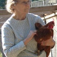 Joyce Graves Photo 26
