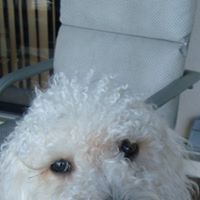 Diane Plumley Photo 11