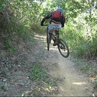 Michael Blom Photo 10