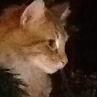 Jean Doty Photo 16