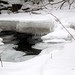 Steven Brooks Photo 17