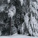 Christopher Winters Photo 42
