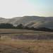 Wanda Sides Photo 5