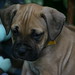 Leroy Madison Photo 5