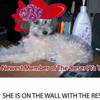 Ann Crabtree Photo 9