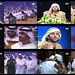 Mohammed Saeed Photo 28
