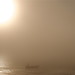 Adam Wester Photo 9