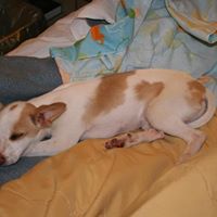 Pamela Schilling Photo 12