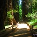 Don Muir Photo 14