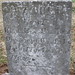 Elizabeth Hardin Photo 15