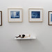 Anna Kauffman Photo 9