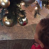 Robin Gann Photo 18