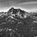 Gerald Jacks Photo 10