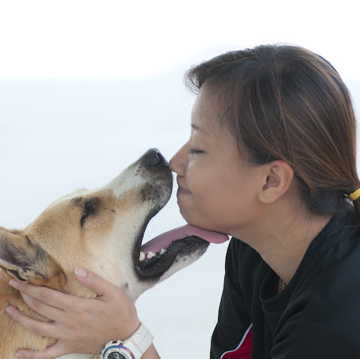 Ann Ling Photo 3