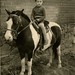 Donald Edwards Photo 44