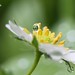 Tammy Bloom Photo 25