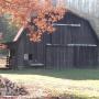 Lori Stout Photo 38