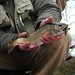 James Trout Photo 28