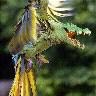 Mark Silverman Photo 45