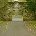 Antionette Young Photo 9