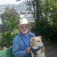 Jim Higgins Photo 27