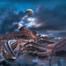 Roland Taylor Photo 40