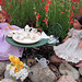 Elizabeth Fina Photo 10