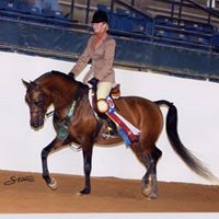 Debbie Avery Photo 23