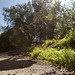Randal Long Photo 8