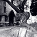 Margaret Wheeler Photo 6
