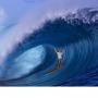 Troy Phillips Photo 21