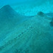 Erwin Hunter Photo 22