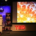 Ted Garrett Photo 30
