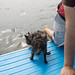 Jeff Rudder Photo 7