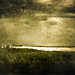 Joel Moody Photo 35