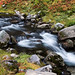 Heather Meadows Photo 14
