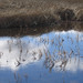 Gail Reed Photo 35
