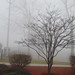 Michael Smothers Photo 21