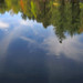 Tracey Trout Photo 26