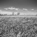 Mark Culp Photo 16