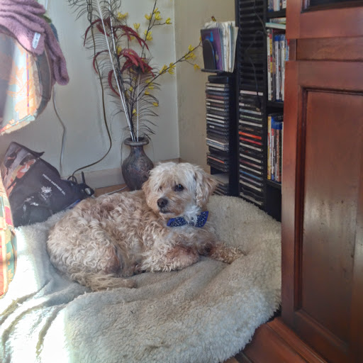 Bonnie Brown Photo 38