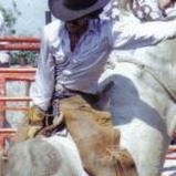 David Mccurdy Photo 25