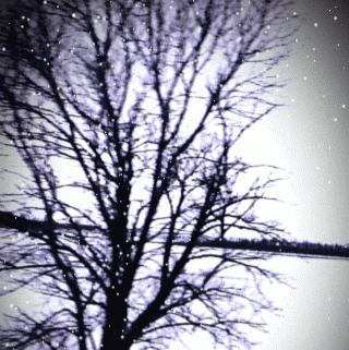 Katherine Grove Photo 6