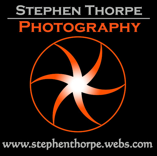 Stephen Thorpe Photo 16