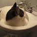 James Sinks Photo 14