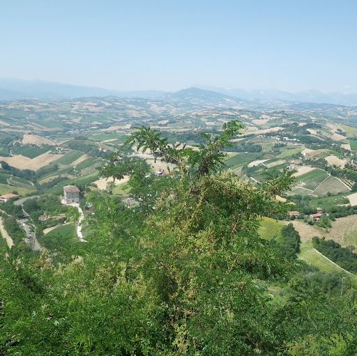 Michael Mullen Photo 44