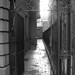 Troy Alley Photo 10