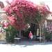 Jane Caswell Photo 8
