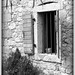 Nell Shaw Photo 14