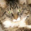 Lenore Smith Photo 35